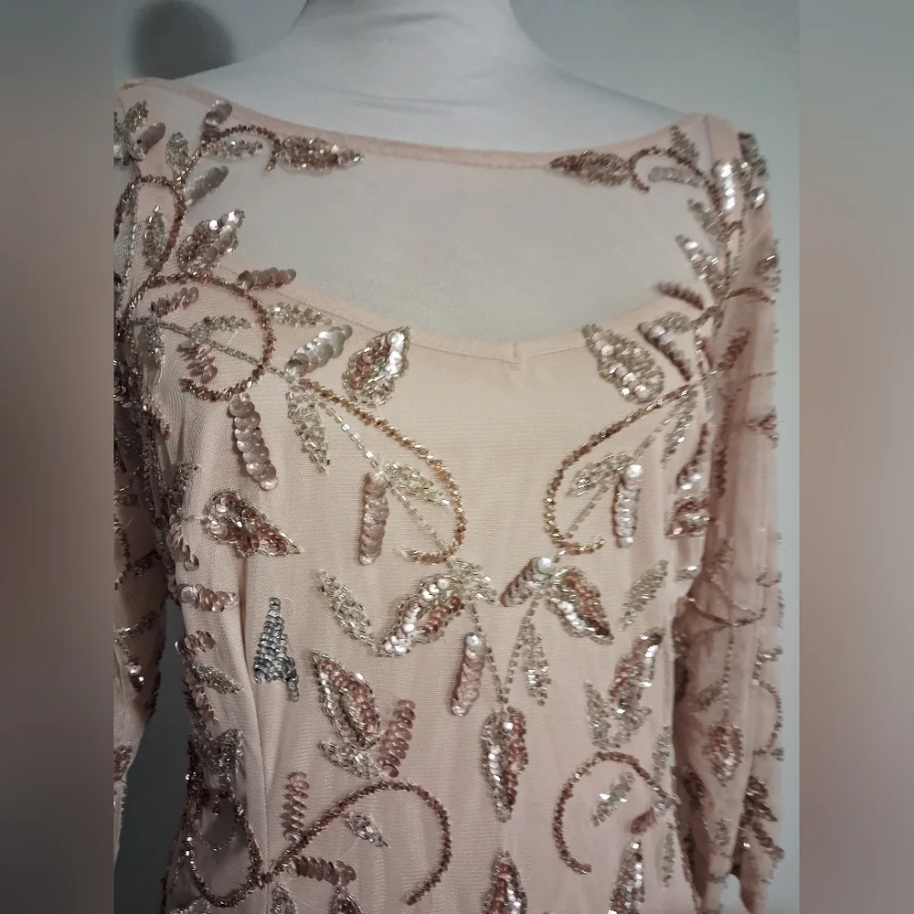 Blush Pink Beaded Illusion Evening Gown Size 14W - Picture 5 of 16